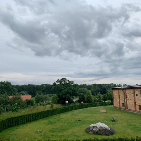Ferienwohnung Zur Dexter-Zucht Coswig Coswig  Bagian luar foto