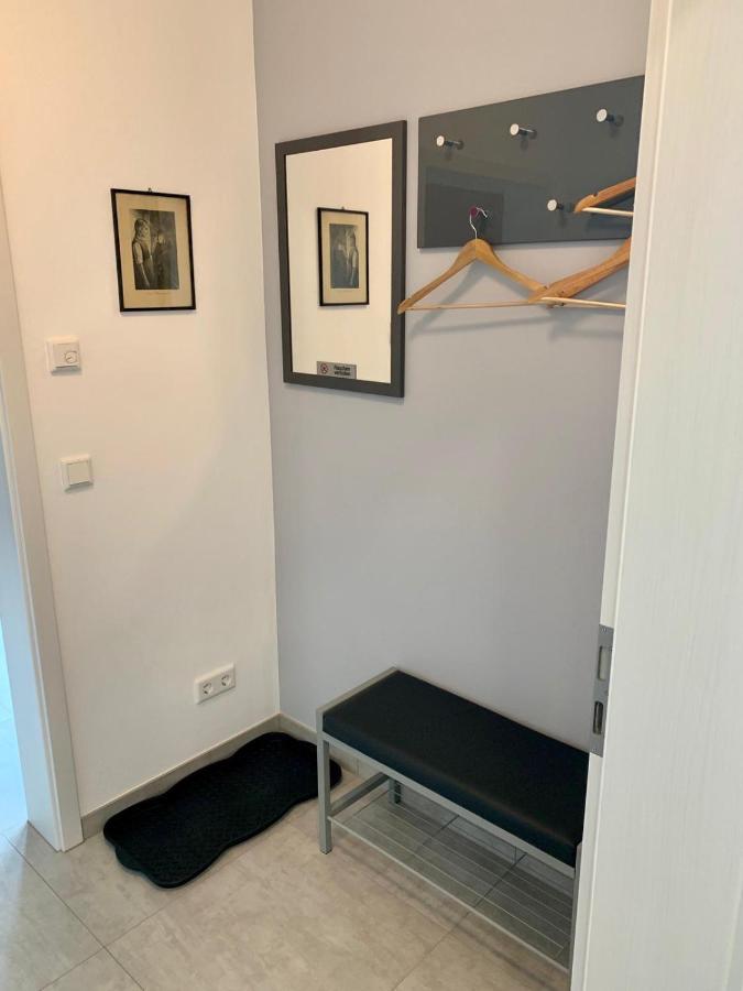 Ferienwohnung Zur Dexter-Zucht Coswig Coswig  Bagian luar foto
