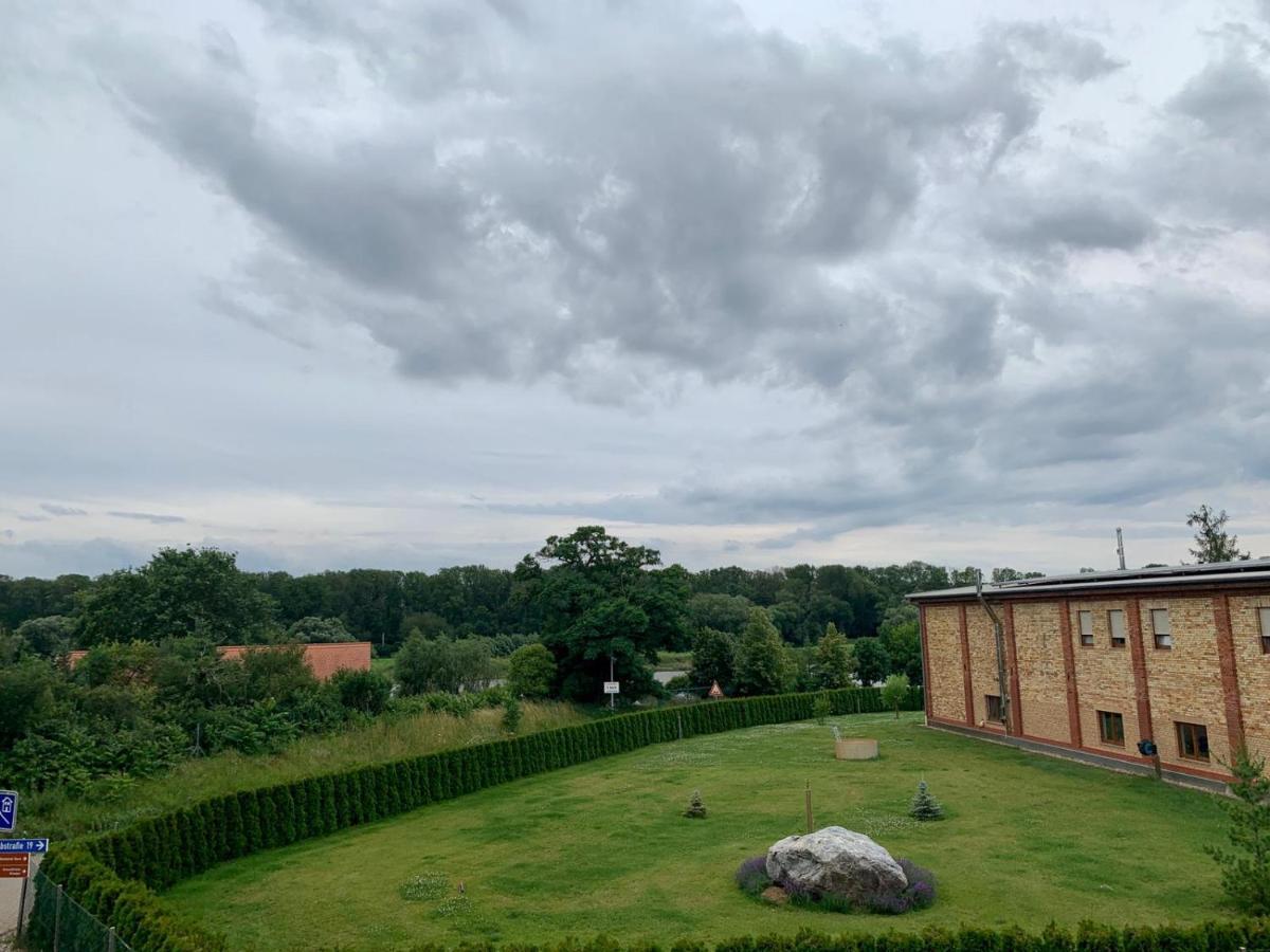 Ferienwohnung Zur Dexter-Zucht Coswig Coswig  Bagian luar foto